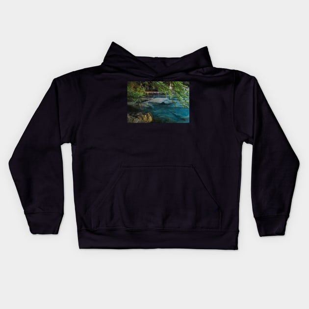 Switzerland - Blausee Kids Hoodie by AnimaliaArt